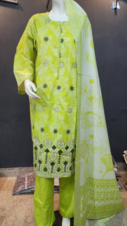 COTTON CHICKEN KARI COLLECTION '24